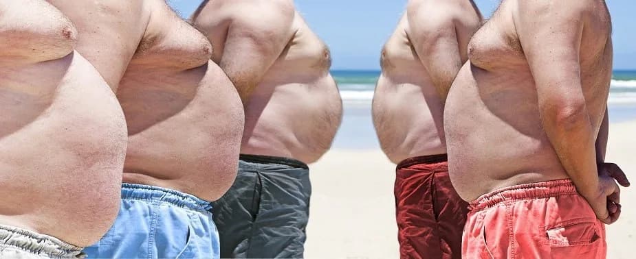 Östrogenspiegel senken während der Steroid-Kur: Der komplette Anfänger-Guide zu Aromatasehemmern und SERMs