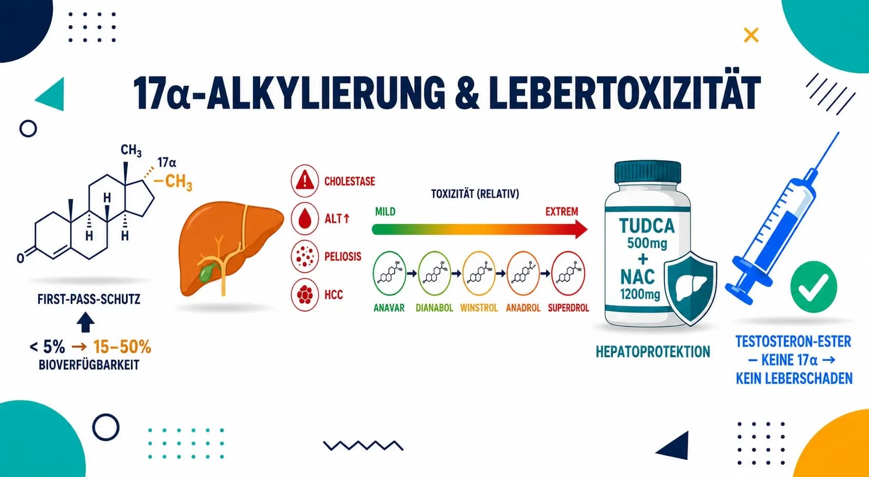 17-Alpha-Alkylierung: Warum orale Steroide die Leber belasten