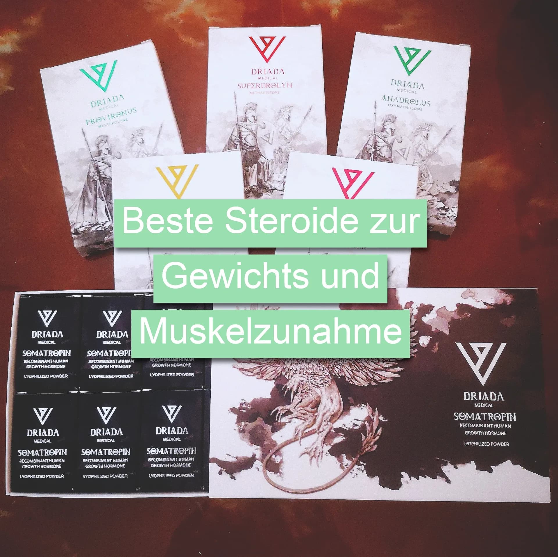 Die 7 besten Steroide für den Muskelaufbau — Ranking nach Evidenz, Sicherheit und Erfahrungsstufe