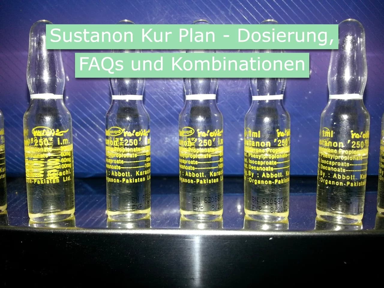 Sustanon Kur Plan — Dosierung, Injektionsfrequenz, Stacks und PCT
