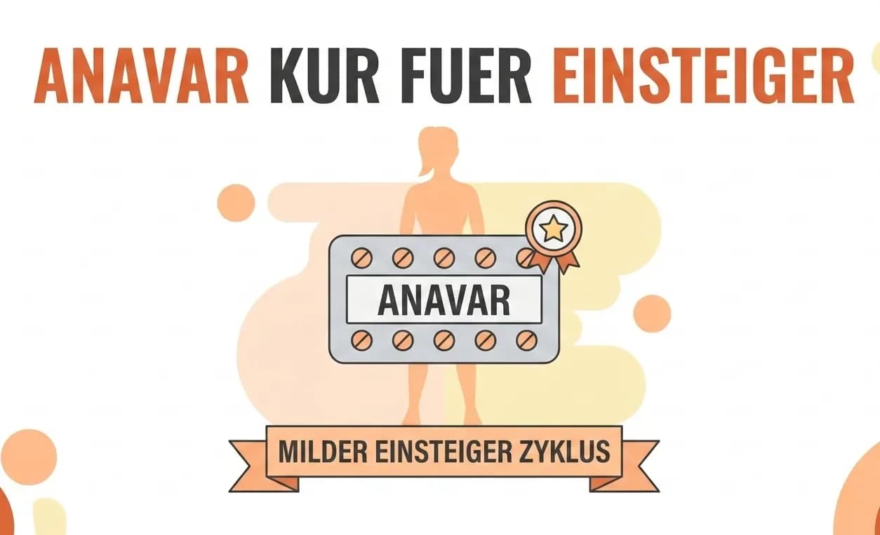 Anavar Kur für Einsteiger