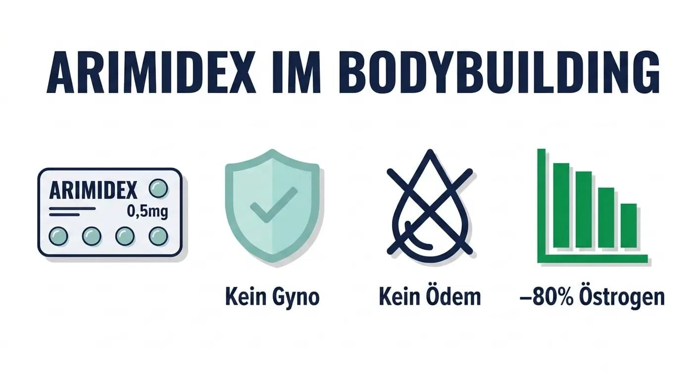 Arimidex (Anastrozol): Dosierung, Östrogenkontrolle und Sicherheit