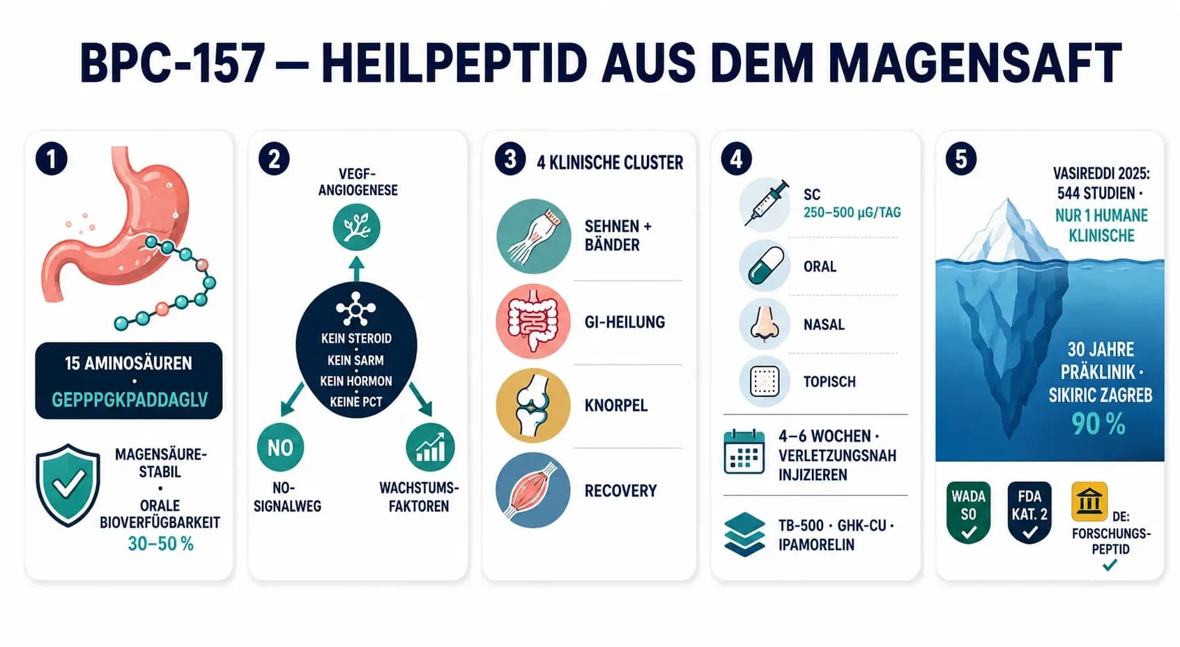 BPC-157: Wirkung, Dosierung und Anwendung des Heilpeptids für Sehnen, Gelenke und Regeneration