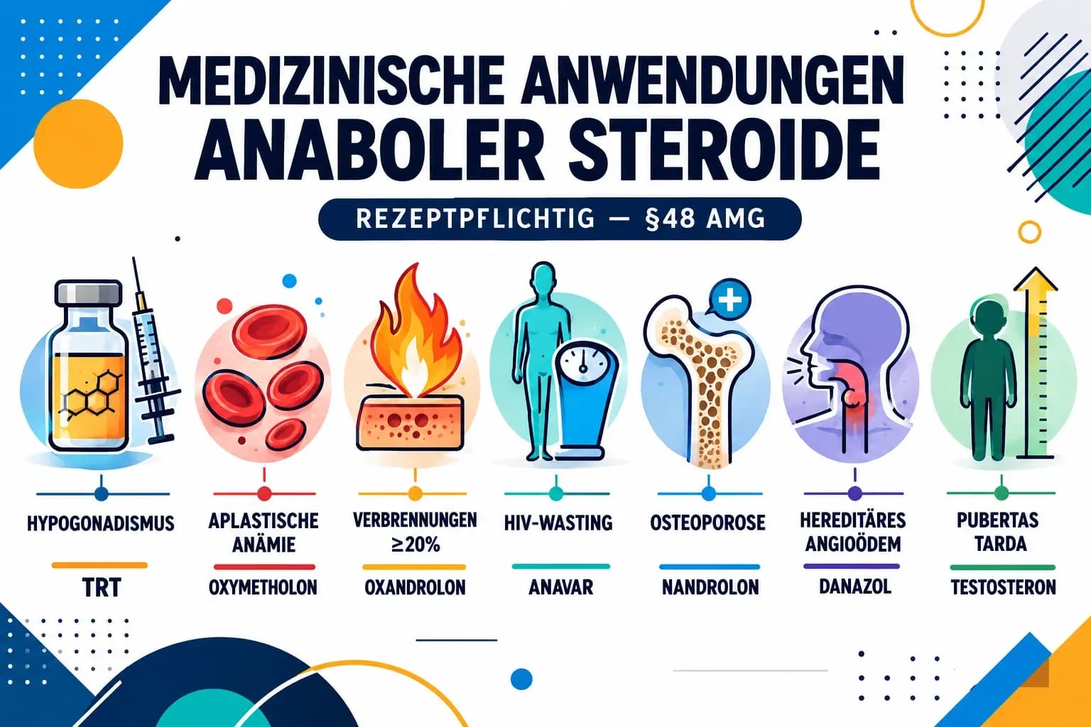 Medizinische Anwendungen anaboler Steroide: Therapeutische Indikationen