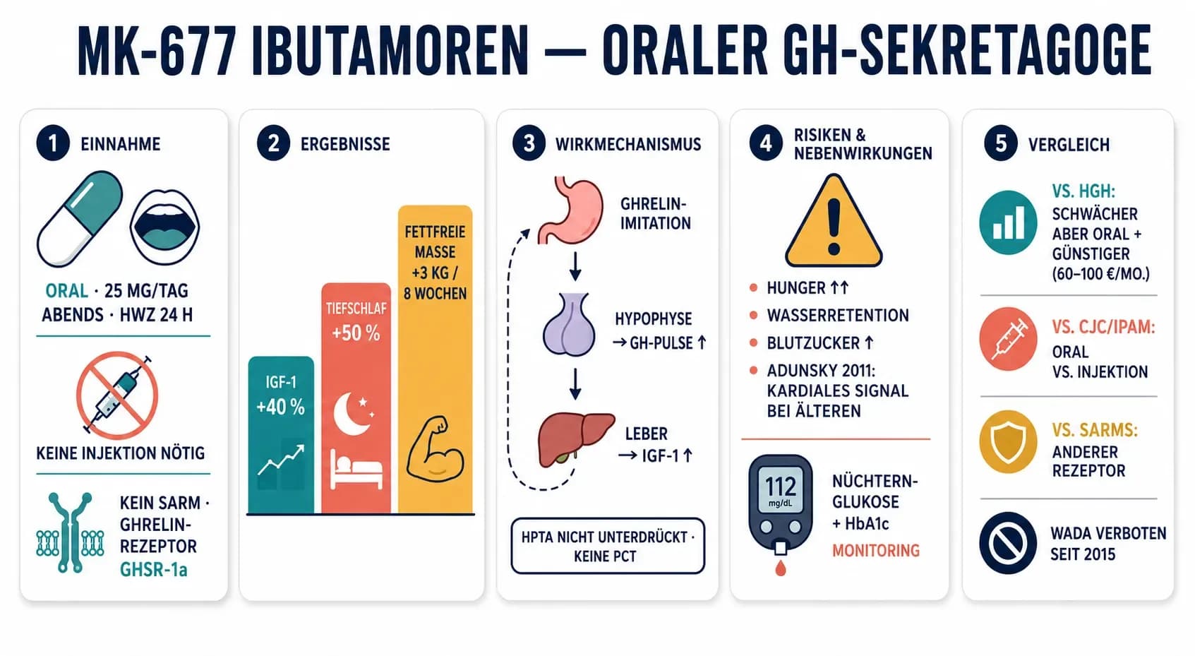 MK-677 Ibutamoren: Der Ghrelin-GH-Booster mit IGF-1-Anstieg von 40 % — Wirkung, Dosis und Risiken