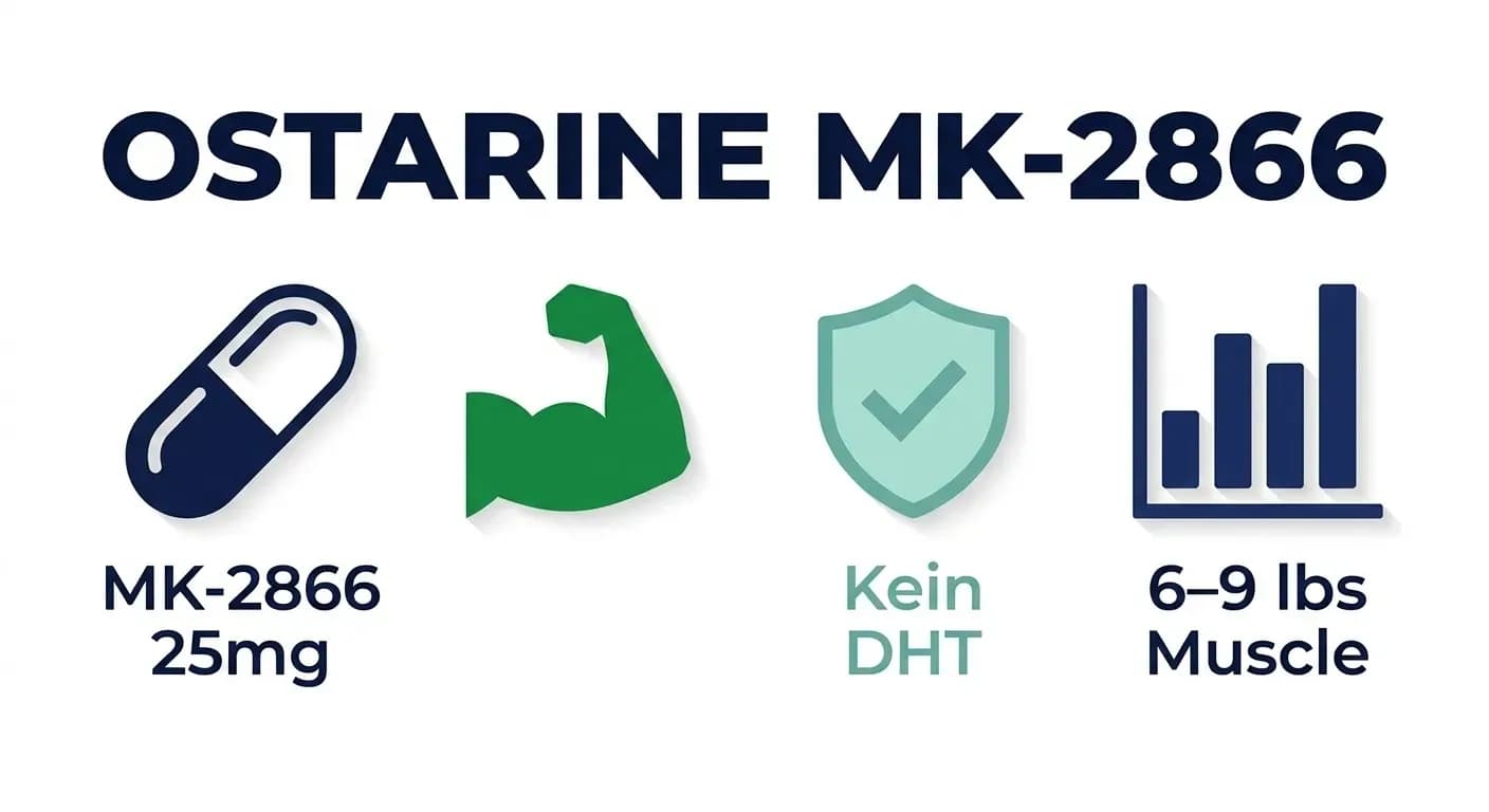 Ostarine (MK-2866): Wirkung, Nebenwirkungen, Dosierung und Rechtslage