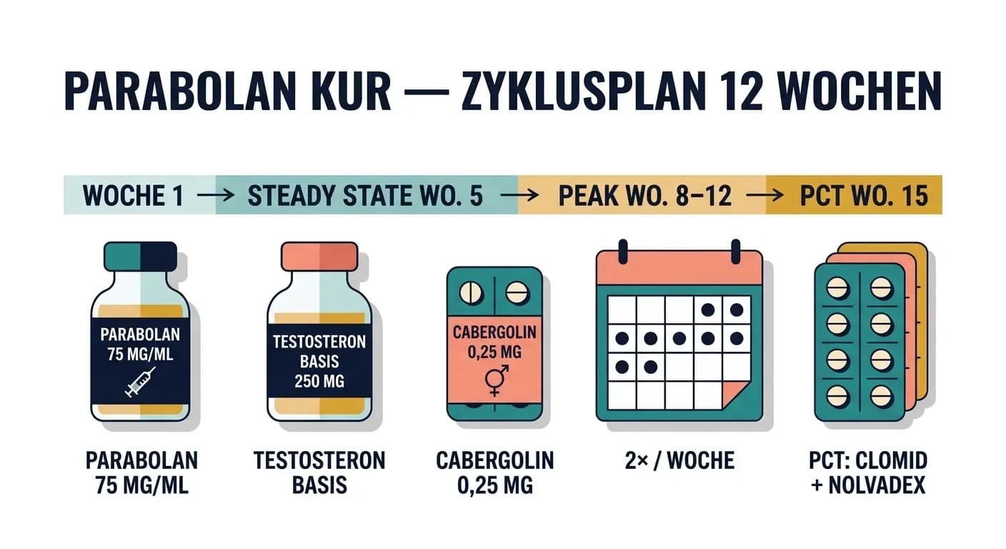 Parabolan Kur: Dosierung, Zyklusplan und Kombinationen im Detail