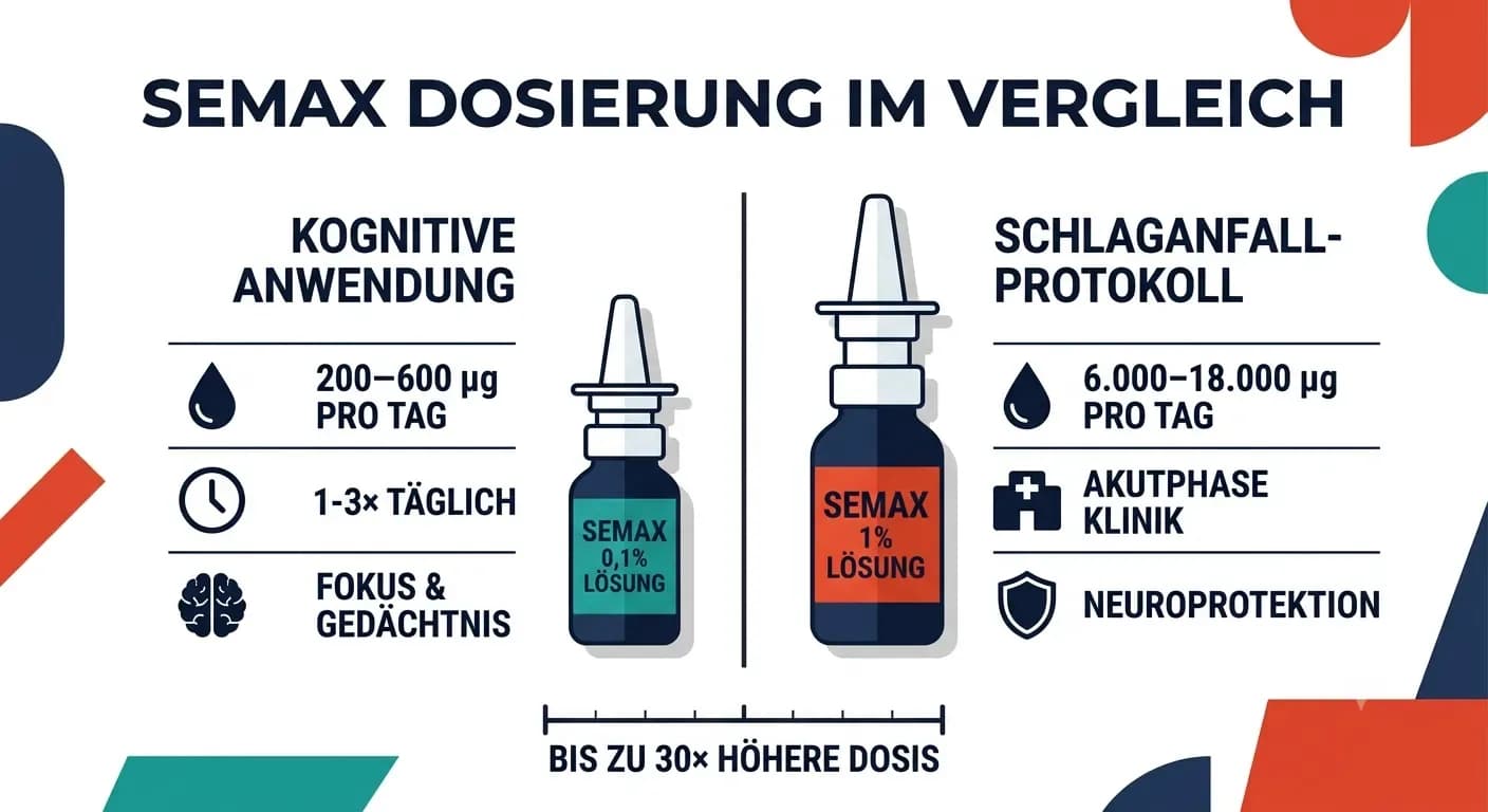 Semax: Wirkung, Dosierung und Studienlage des Nootropikum-Peptids