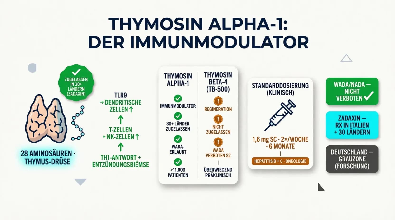 Thymosin Alpha-1: Wirkung, Dosierung und Anwendung des Immunpeptids
